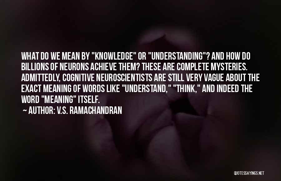 V.S. Ramachandran Quotes: What Do We Mean By Knowledge Or Understanding? And How Do Billions Of Neurons Achieve Them? These Are Complete Mysteries.