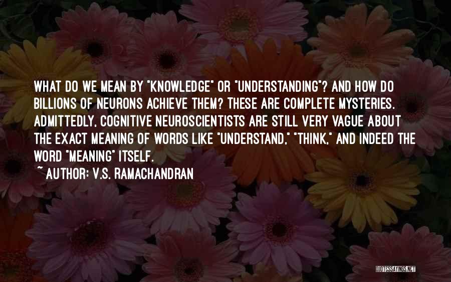 V.S. Ramachandran Quotes: What Do We Mean By Knowledge Or Understanding? And How Do Billions Of Neurons Achieve Them? These Are Complete Mysteries.