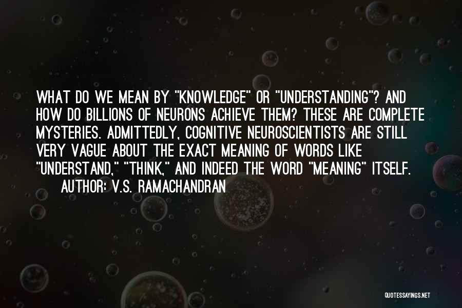 V.S. Ramachandran Quotes: What Do We Mean By Knowledge Or Understanding? And How Do Billions Of Neurons Achieve Them? These Are Complete Mysteries.