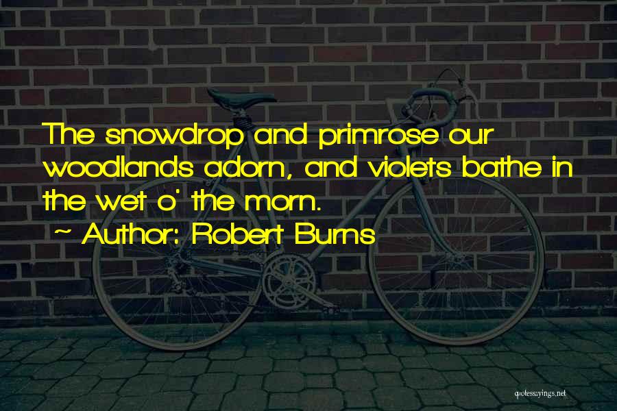 Robert Burns Quotes: The Snowdrop And Primrose Our Woodlands Adorn, And Violets Bathe In The Wet O' The Morn.