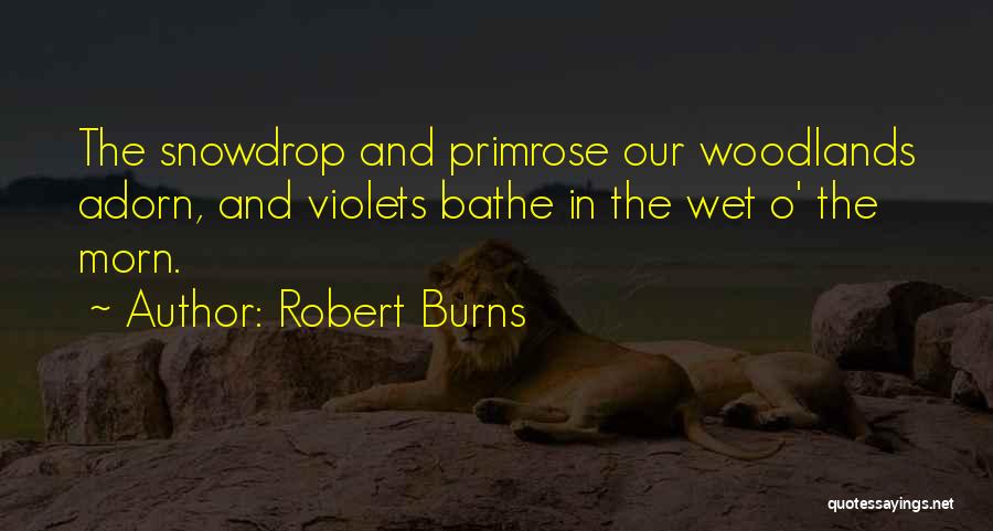 Robert Burns Quotes: The Snowdrop And Primrose Our Woodlands Adorn, And Violets Bathe In The Wet O' The Morn.