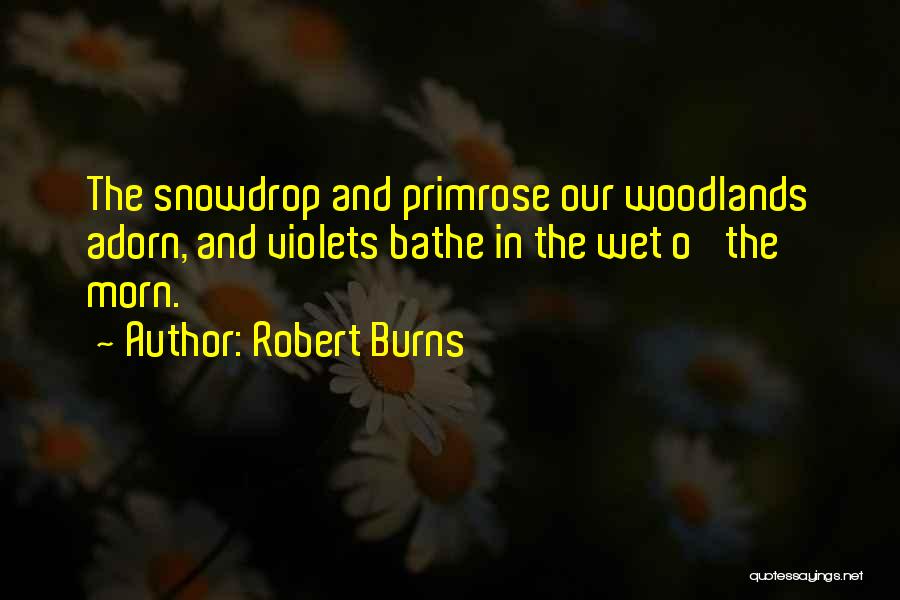 Robert Burns Quotes: The Snowdrop And Primrose Our Woodlands Adorn, And Violets Bathe In The Wet O' The Morn.