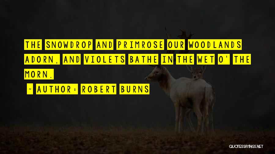 Robert Burns Quotes: The Snowdrop And Primrose Our Woodlands Adorn, And Violets Bathe In The Wet O' The Morn.
