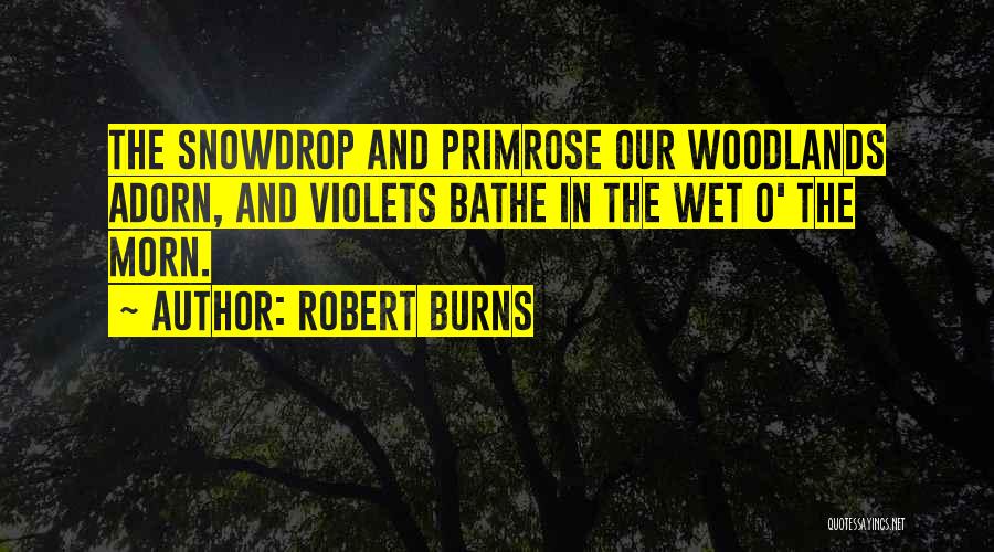 Robert Burns Quotes: The Snowdrop And Primrose Our Woodlands Adorn, And Violets Bathe In The Wet O' The Morn.