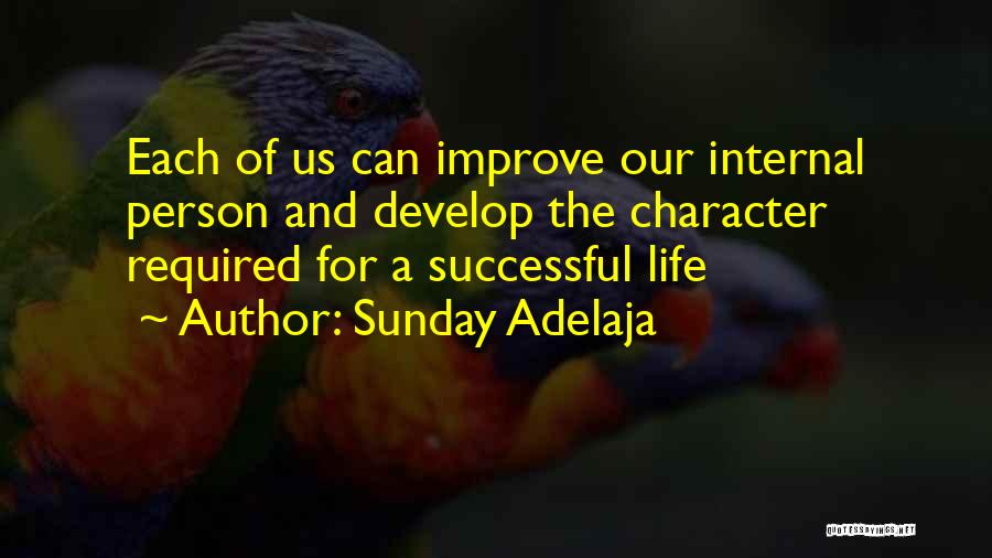 Sunday Adelaja Quotes: Each Of Us Can Improve Our Internal Person And Develop The Character Required For A Successful Life
