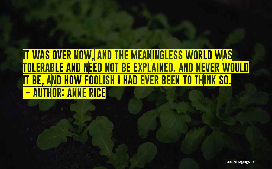 Anne Rice Quotes: It Was Over Now, And The Meaningless World Was Tolerable And Need Not Be Explained. And Never Would It Be,