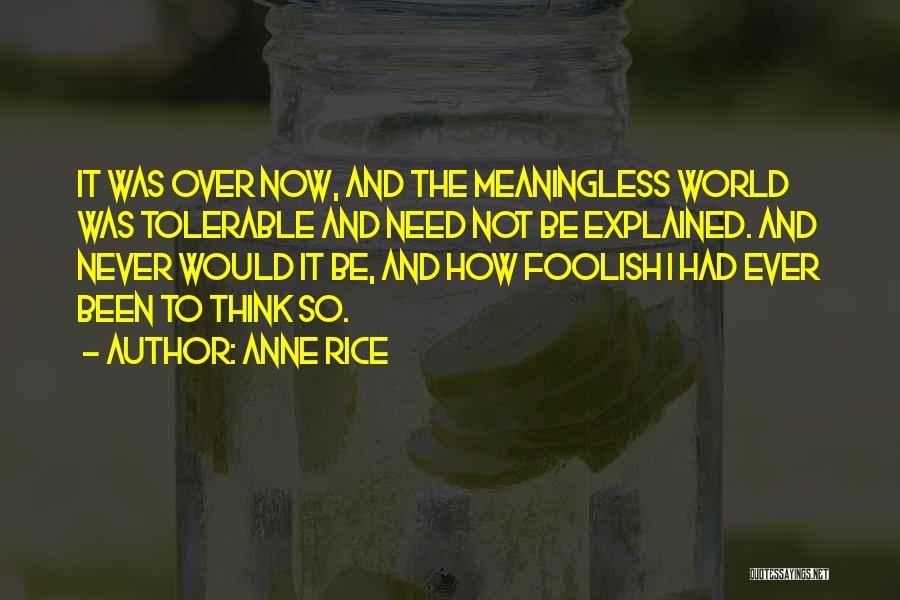 Anne Rice Quotes: It Was Over Now, And The Meaningless World Was Tolerable And Need Not Be Explained. And Never Would It Be,