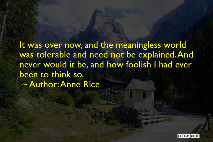 Anne Rice Quotes: It Was Over Now, And The Meaningless World Was Tolerable And Need Not Be Explained. And Never Would It Be,