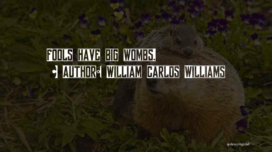 William Carlos Williams Quotes: Fools Have Big Wombs.