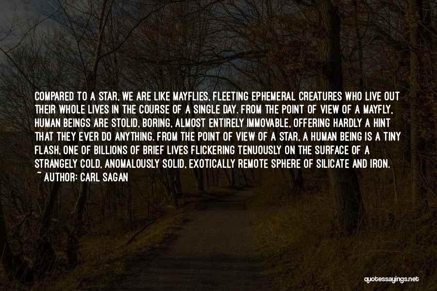 Carl Sagan Quotes: Compared To A Star, We Are Like Mayflies, Fleeting Ephemeral Creatures Who Live Out Their Whole Lives In The Course