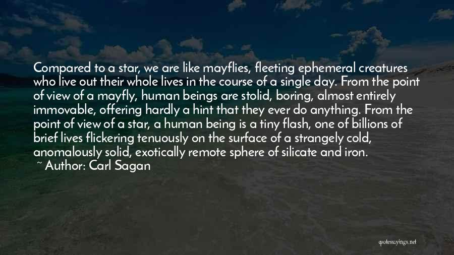 Carl Sagan Quotes: Compared To A Star, We Are Like Mayflies, Fleeting Ephemeral Creatures Who Live Out Their Whole Lives In The Course