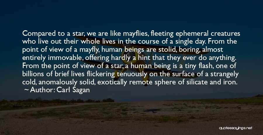 Carl Sagan Quotes: Compared To A Star, We Are Like Mayflies, Fleeting Ephemeral Creatures Who Live Out Their Whole Lives In The Course
