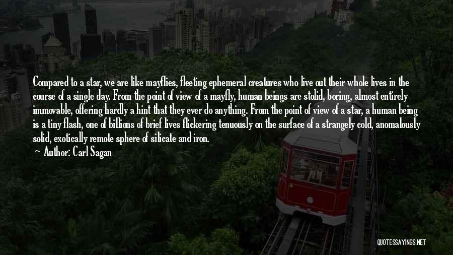 Carl Sagan Quotes: Compared To A Star, We Are Like Mayflies, Fleeting Ephemeral Creatures Who Live Out Their Whole Lives In The Course