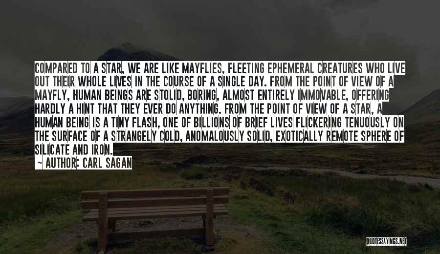 Carl Sagan Quotes: Compared To A Star, We Are Like Mayflies, Fleeting Ephemeral Creatures Who Live Out Their Whole Lives In The Course