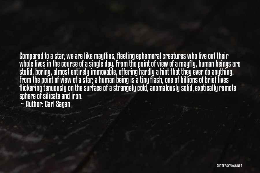 Carl Sagan Quotes: Compared To A Star, We Are Like Mayflies, Fleeting Ephemeral Creatures Who Live Out Their Whole Lives In The Course