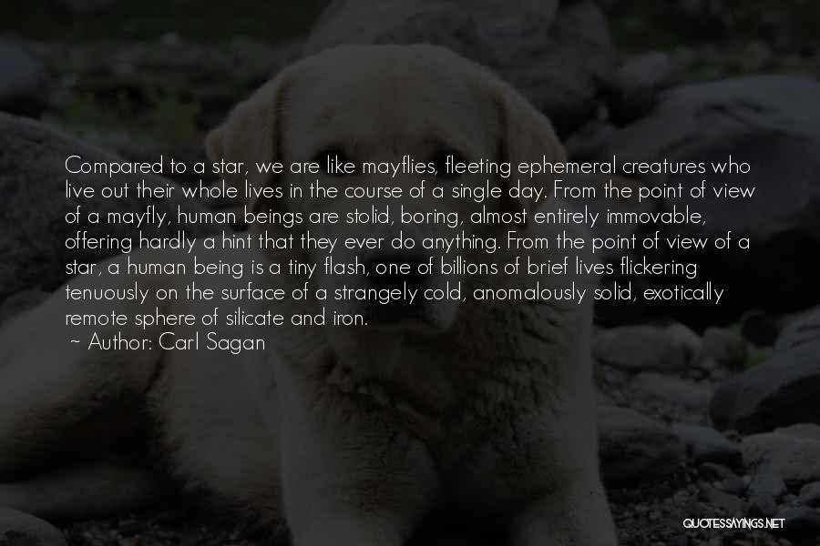 Carl Sagan Quotes: Compared To A Star, We Are Like Mayflies, Fleeting Ephemeral Creatures Who Live Out Their Whole Lives In The Course