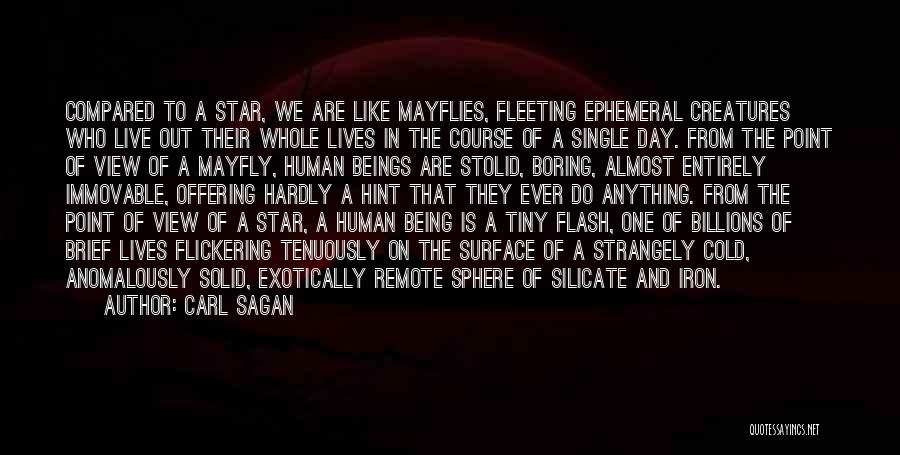 Carl Sagan Quotes: Compared To A Star, We Are Like Mayflies, Fleeting Ephemeral Creatures Who Live Out Their Whole Lives In The Course