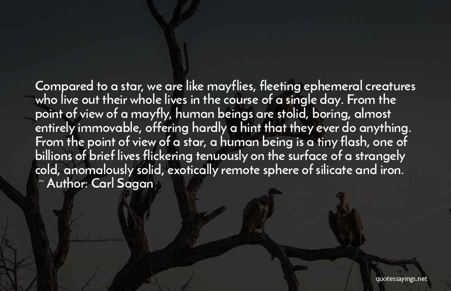 Carl Sagan Quotes: Compared To A Star, We Are Like Mayflies, Fleeting Ephemeral Creatures Who Live Out Their Whole Lives In The Course