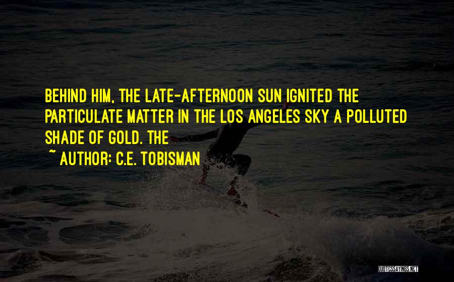 C.E. Tobisman Quotes: Behind Him, The Late-afternoon Sun Ignited The Particulate Matter In The Los Angeles Sky A Polluted Shade Of Gold. The