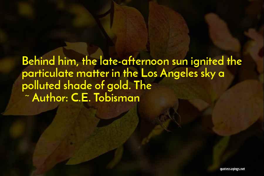 C.E. Tobisman Quotes: Behind Him, The Late-afternoon Sun Ignited The Particulate Matter In The Los Angeles Sky A Polluted Shade Of Gold. The