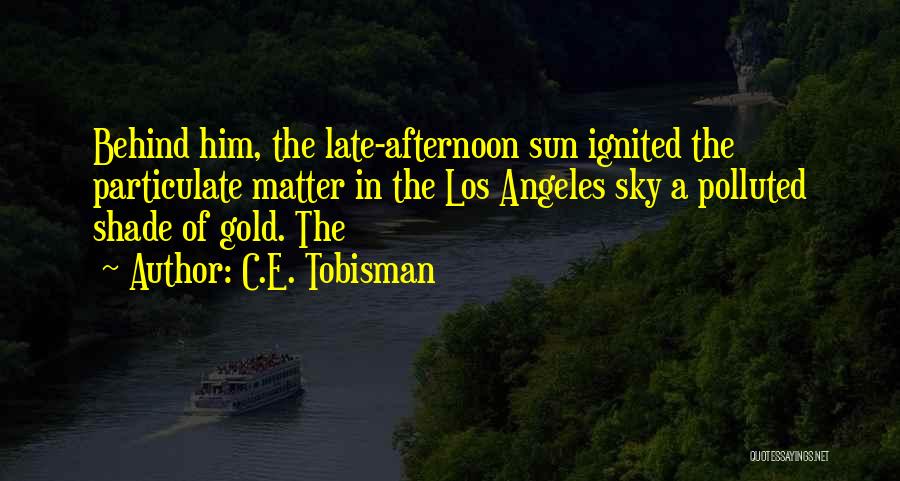 C.E. Tobisman Quotes: Behind Him, The Late-afternoon Sun Ignited The Particulate Matter In The Los Angeles Sky A Polluted Shade Of Gold. The