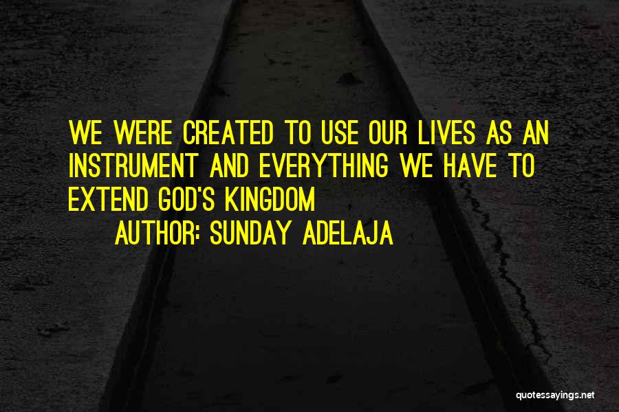 Sunday Adelaja Quotes: We Were Created To Use Our Lives As An Instrument And Everything We Have To Extend God's Kingdom