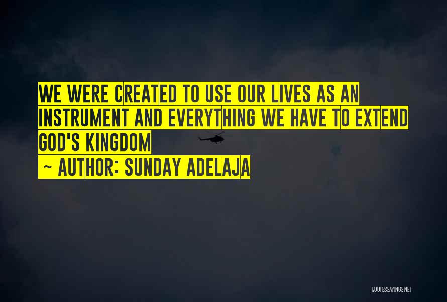 Sunday Adelaja Quotes: We Were Created To Use Our Lives As An Instrument And Everything We Have To Extend God's Kingdom
