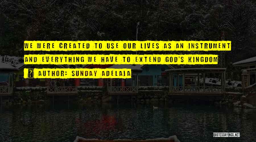 Sunday Adelaja Quotes: We Were Created To Use Our Lives As An Instrument And Everything We Have To Extend God's Kingdom