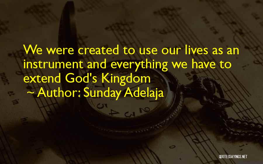 Sunday Adelaja Quotes: We Were Created To Use Our Lives As An Instrument And Everything We Have To Extend God's Kingdom