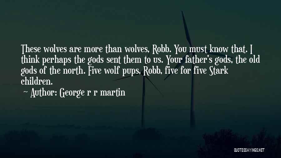George R R Martin Quotes: These Wolves Are More Than Wolves, Robb. You Must Know That. I Think Perhaps The Gods Sent Them To Us.