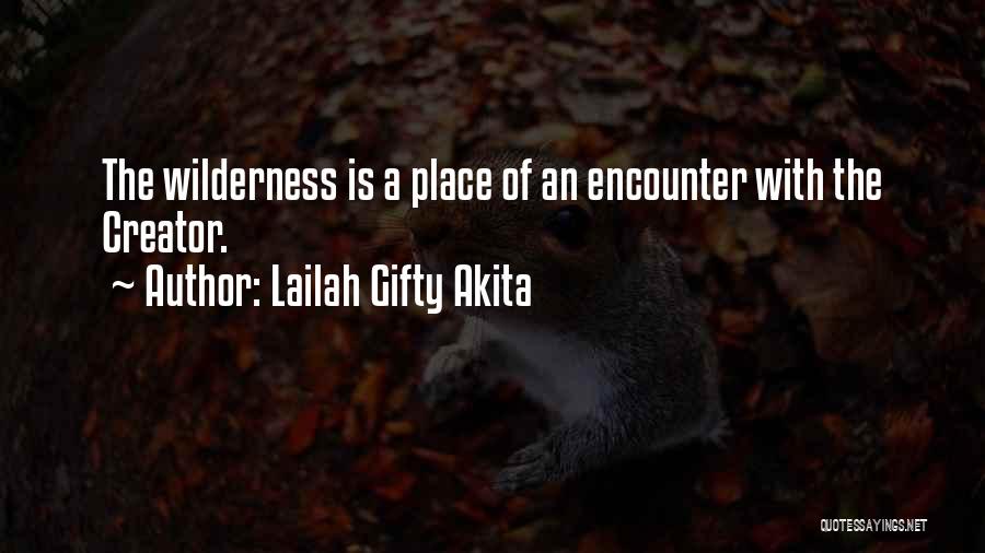 Lailah Gifty Akita Quotes: The Wilderness Is A Place Of An Encounter With The Creator.