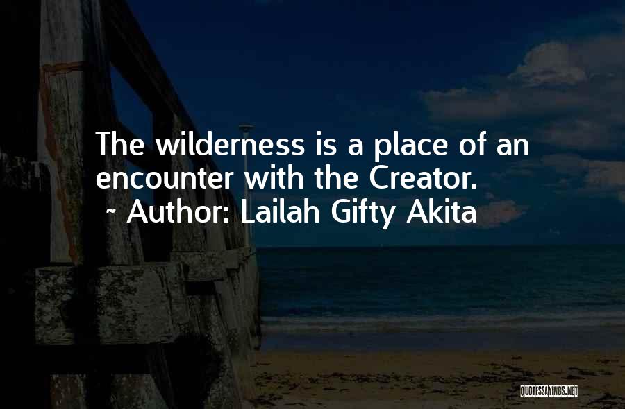 Lailah Gifty Akita Quotes: The Wilderness Is A Place Of An Encounter With The Creator.