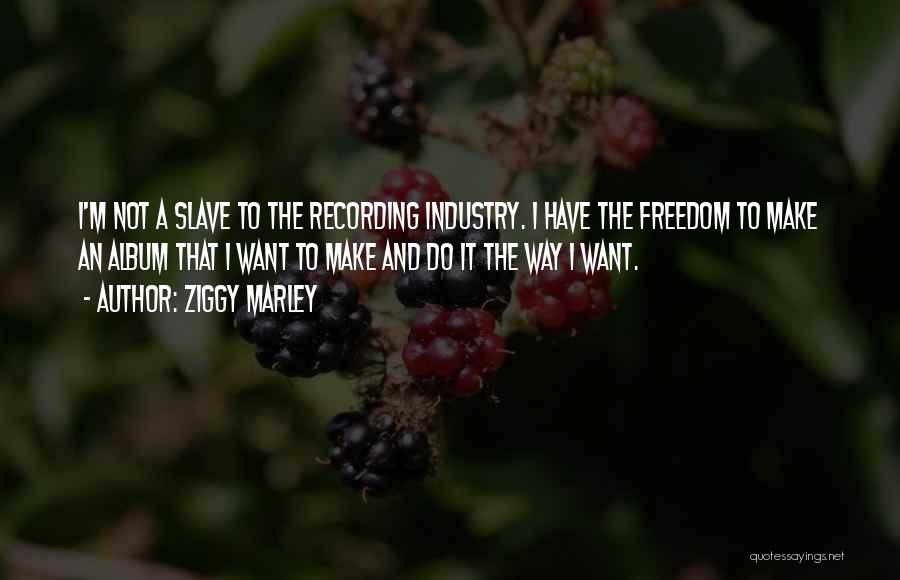 Ziggy Marley Quotes: I'm Not A Slave To The Recording Industry. I Have The Freedom To Make An Album That I Want To