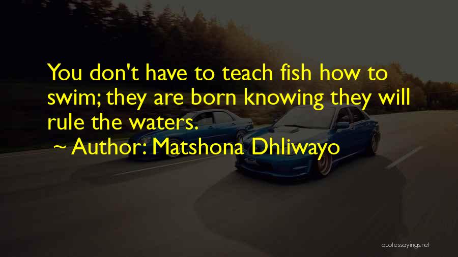 Matshona Dhliwayo Quotes: You Don't Have To Teach Fish How To Swim; They Are Born Knowing They Will Rule The Waters.