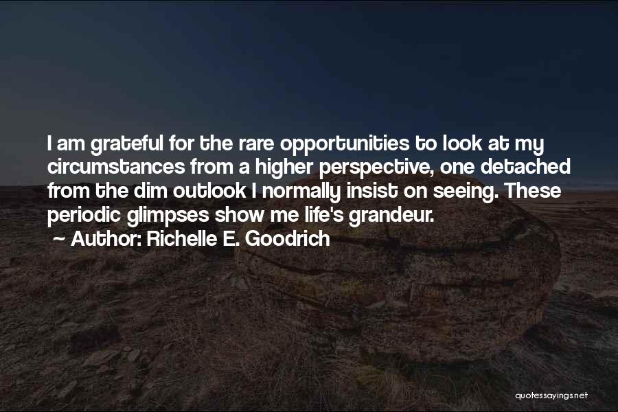 Richelle E. Goodrich Quotes: I Am Grateful For The Rare Opportunities To Look At My Circumstances From A Higher Perspective, One Detached From The