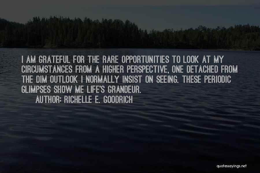 Richelle E. Goodrich Quotes: I Am Grateful For The Rare Opportunities To Look At My Circumstances From A Higher Perspective, One Detached From The