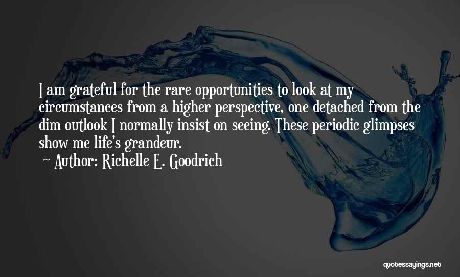 Richelle E. Goodrich Quotes: I Am Grateful For The Rare Opportunities To Look At My Circumstances From A Higher Perspective, One Detached From The