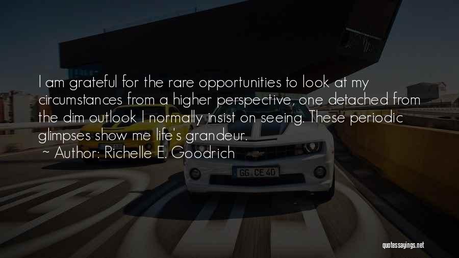 Richelle E. Goodrich Quotes: I Am Grateful For The Rare Opportunities To Look At My Circumstances From A Higher Perspective, One Detached From The