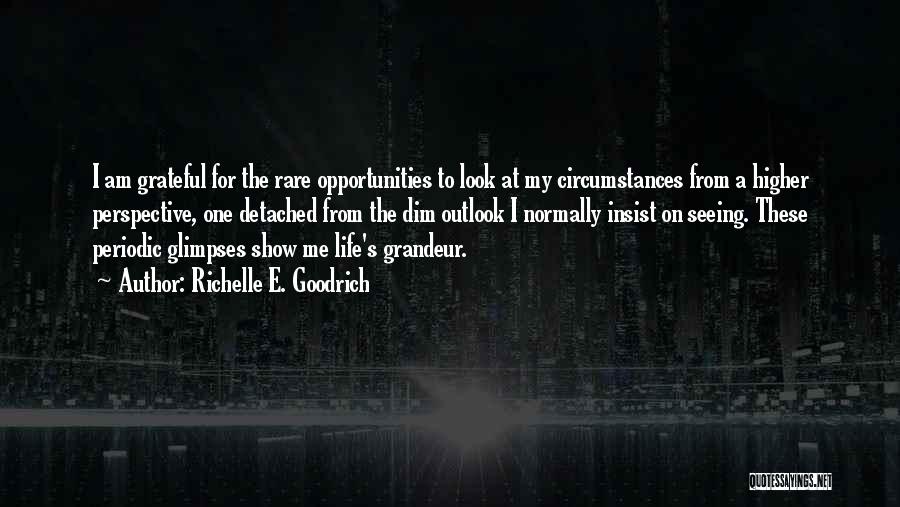Richelle E. Goodrich Quotes: I Am Grateful For The Rare Opportunities To Look At My Circumstances From A Higher Perspective, One Detached From The