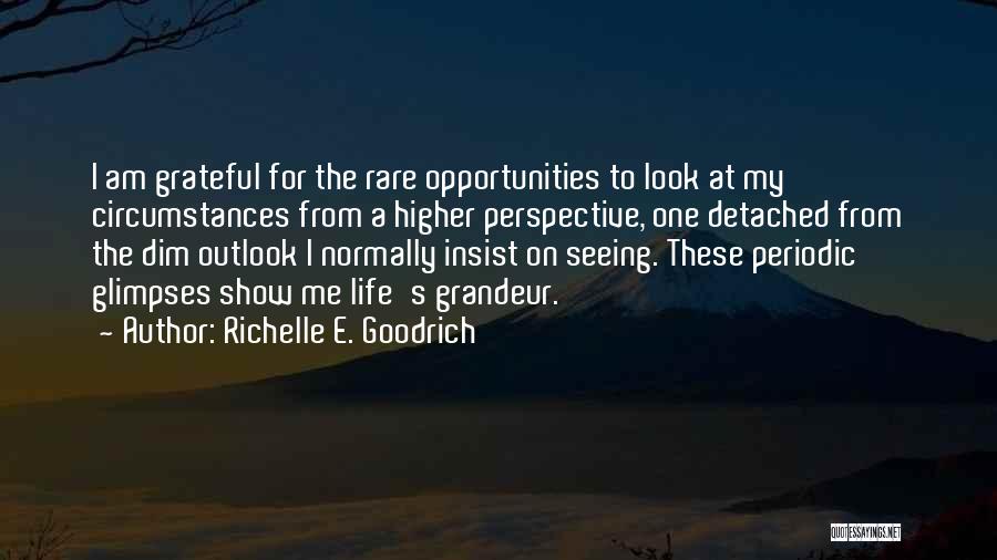 Richelle E. Goodrich Quotes: I Am Grateful For The Rare Opportunities To Look At My Circumstances From A Higher Perspective, One Detached From The
