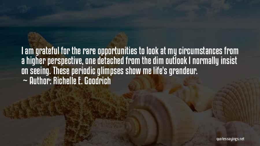 Richelle E. Goodrich Quotes: I Am Grateful For The Rare Opportunities To Look At My Circumstances From A Higher Perspective, One Detached From The
