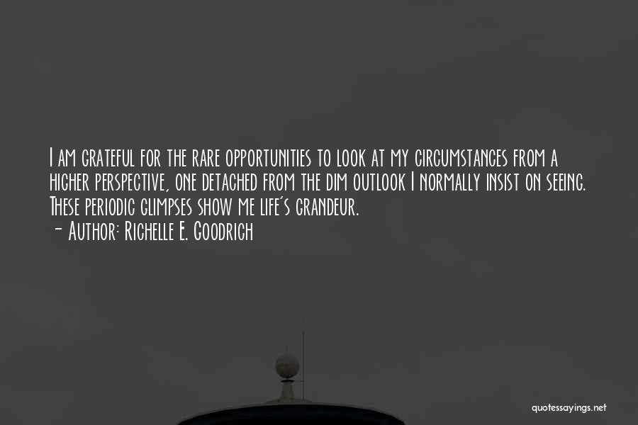 Richelle E. Goodrich Quotes: I Am Grateful For The Rare Opportunities To Look At My Circumstances From A Higher Perspective, One Detached From The
