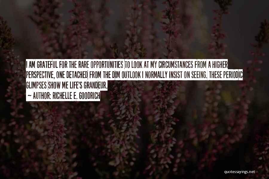Richelle E. Goodrich Quotes: I Am Grateful For The Rare Opportunities To Look At My Circumstances From A Higher Perspective, One Detached From The