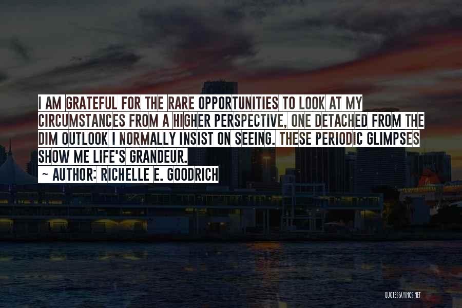 Richelle E. Goodrich Quotes: I Am Grateful For The Rare Opportunities To Look At My Circumstances From A Higher Perspective, One Detached From The