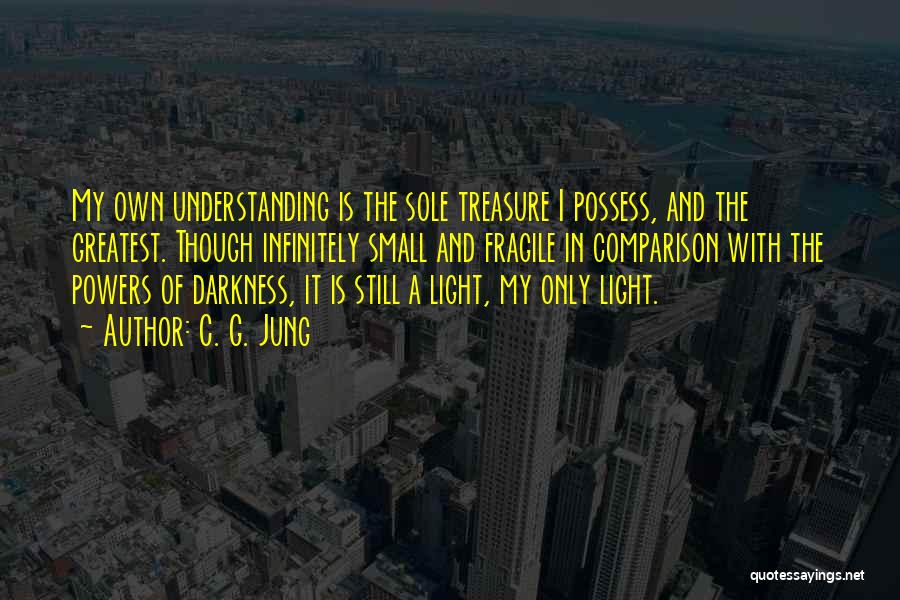 C. G. Jung Quotes: My Own Understanding Is The Sole Treasure I Possess, And The Greatest. Though Infinitely Small And Fragile In Comparison With