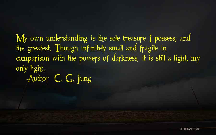 C. G. Jung Quotes: My Own Understanding Is The Sole Treasure I Possess, And The Greatest. Though Infinitely Small And Fragile In Comparison With
