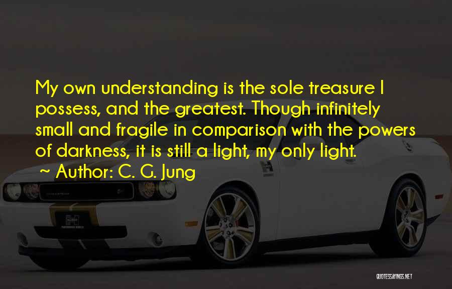 C. G. Jung Quotes: My Own Understanding Is The Sole Treasure I Possess, And The Greatest. Though Infinitely Small And Fragile In Comparison With