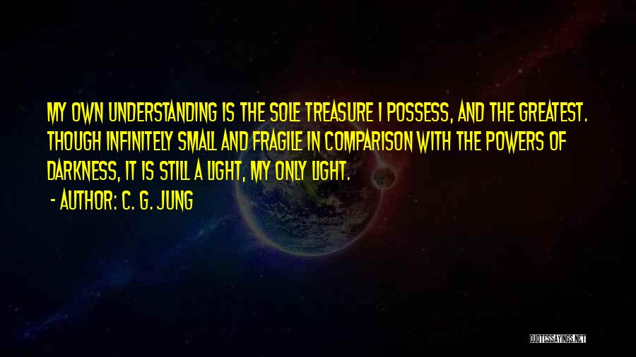 C. G. Jung Quotes: My Own Understanding Is The Sole Treasure I Possess, And The Greatest. Though Infinitely Small And Fragile In Comparison With