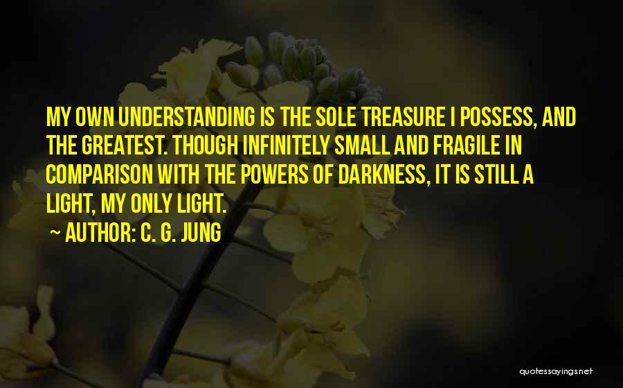 C. G. Jung Quotes: My Own Understanding Is The Sole Treasure I Possess, And The Greatest. Though Infinitely Small And Fragile In Comparison With