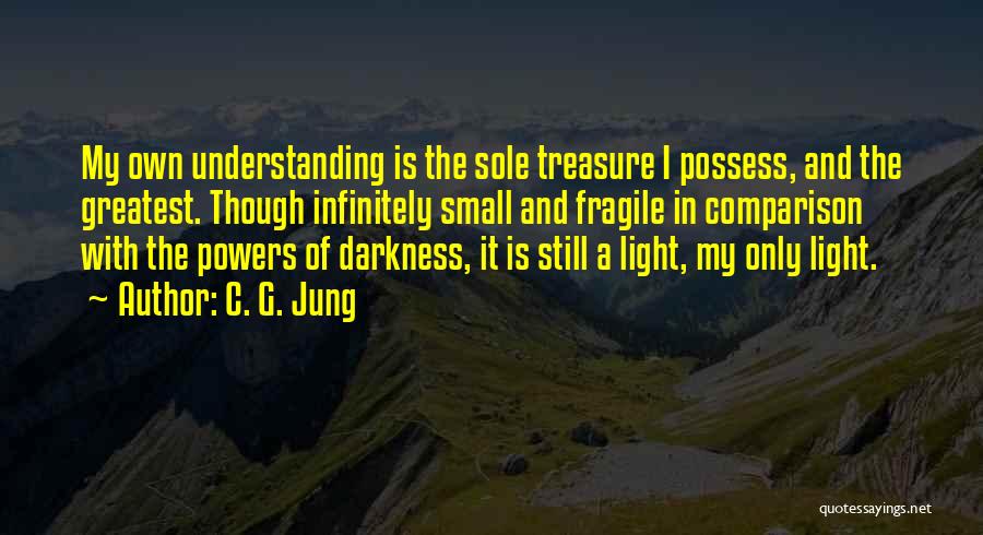 C. G. Jung Quotes: My Own Understanding Is The Sole Treasure I Possess, And The Greatest. Though Infinitely Small And Fragile In Comparison With